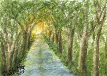 "Rustic Road" by Maggie Stetter, Whitewater WI - Watercolor